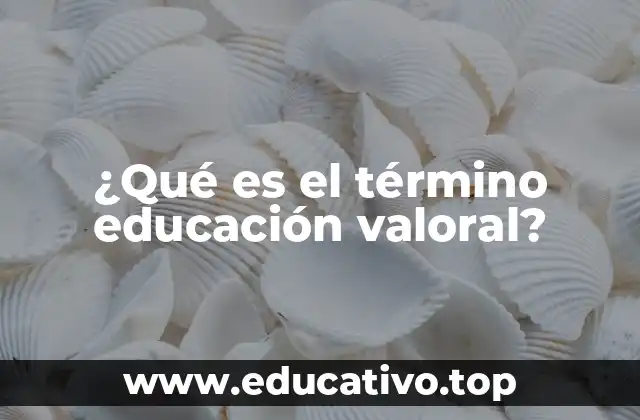 ¿Qué es el término educación valoral?