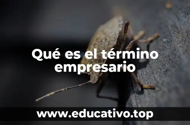 Qué es el término empresario