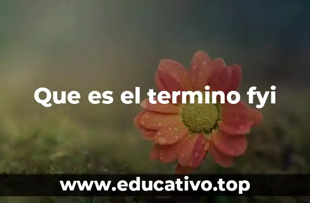 Que es el termino fyi