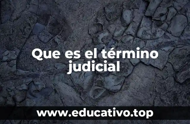 El papel de los términos judiciales en la organización del proceso legal