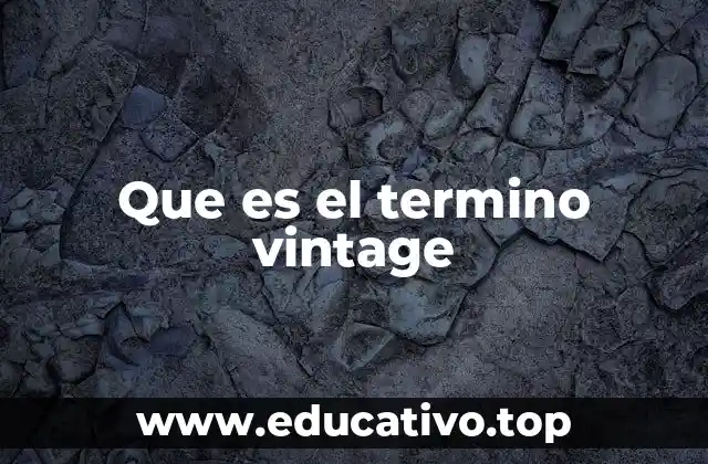 Que es el termino vintage