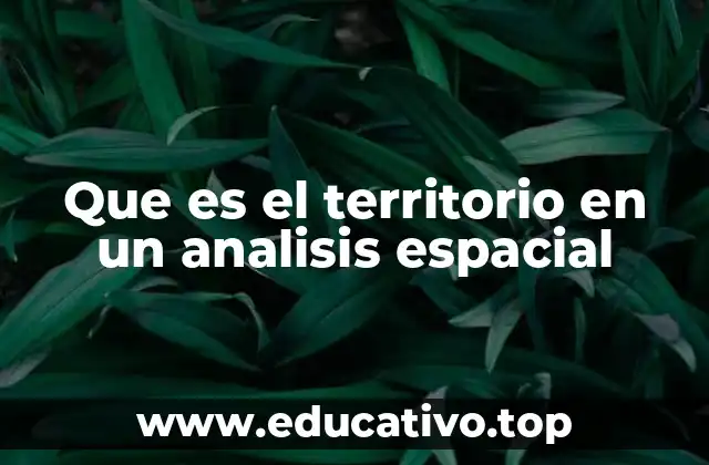 Que es el territorio en un analisis espacial