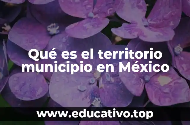 Qué es el territorio municipio en México
