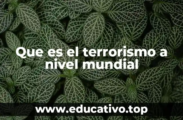 Que es el terrorismo a nivel mundial