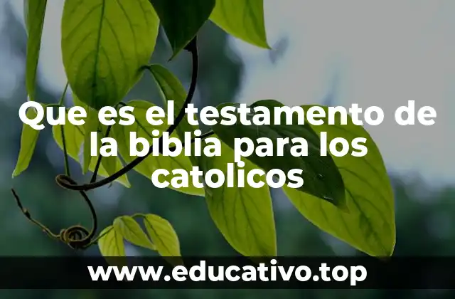 Que es el testamento de la biblia para los catolicos