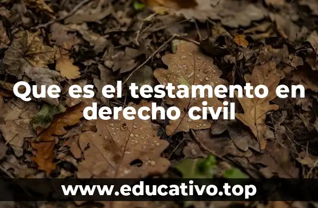 La importancia del testamento en la regulación de la sucesión