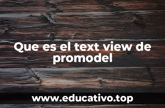 Que es el text view de promodel