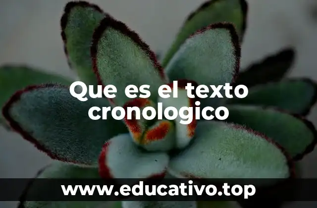 Que es el texto cronologico