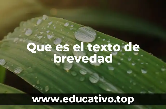 Que es el texto de brevedad