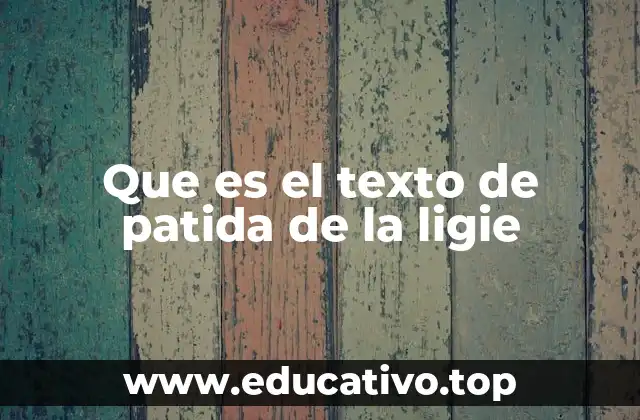 Que es el texto de patida de la ligie