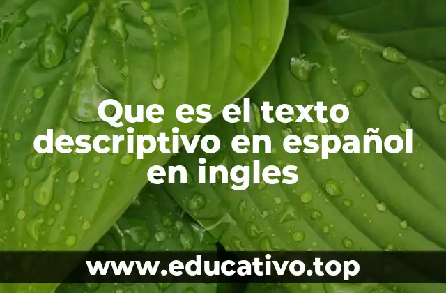 Que es el texto descriptivo en español en ingles