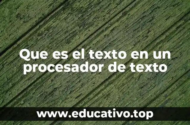 Que es el texto en un procesador de texto