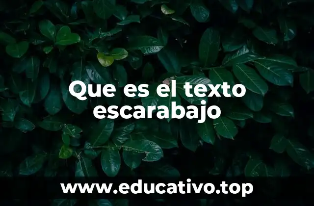 Que es el texto escarabajo