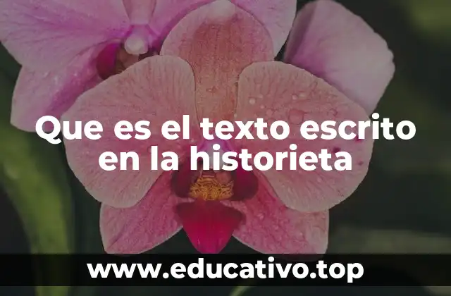 Que es el texto escrito en la historieta