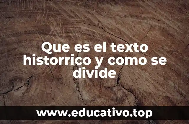 Que es el texto historrico y como se divide