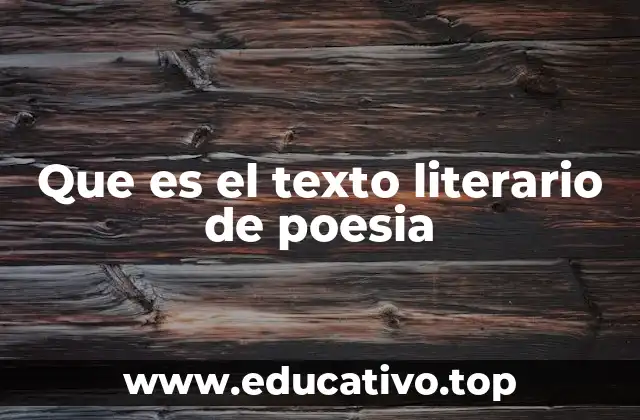 Que es el texto literario de poesia
