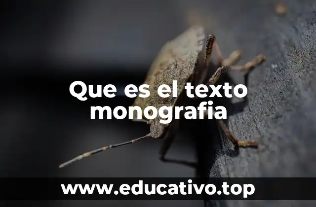 Que es el texto monografia