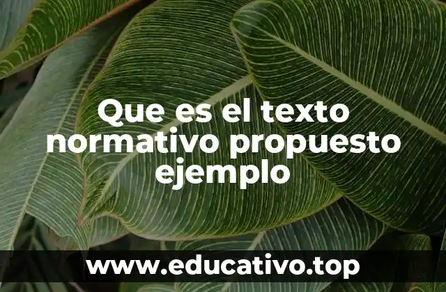 Que es el texto normativo propuesto ejemplo