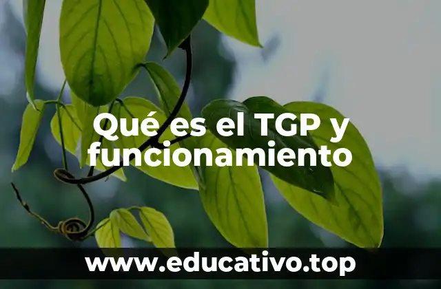 Qué es el TGP y funcionamiento