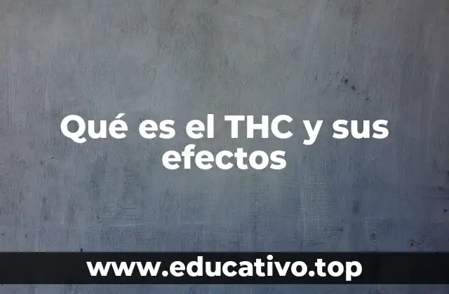 El impacto del THC en el cerebro y el cuerpo humano