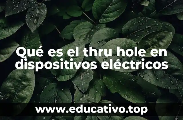 Qué es el thru hole en dispositivos eléctricos