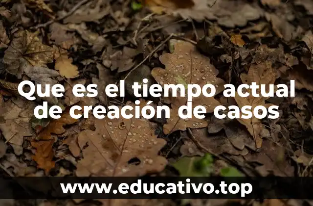 Que es el tiempo actual de creación de casos