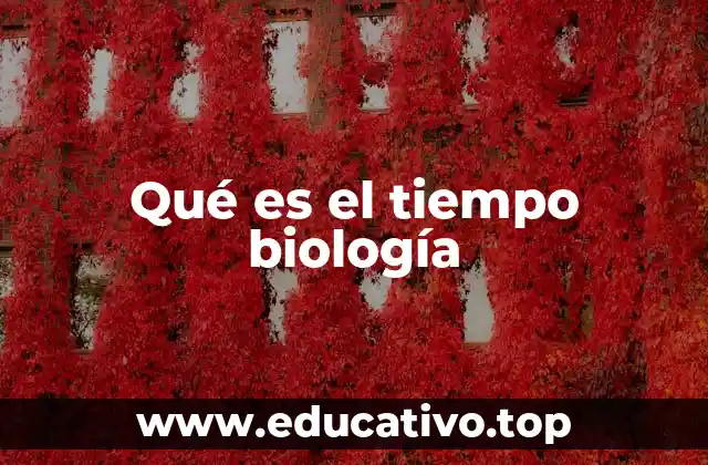 Qué es el tiempo biología