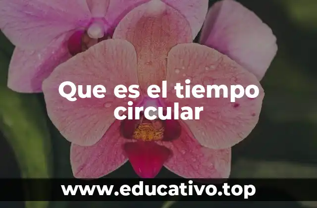 Que es el tiempo circular