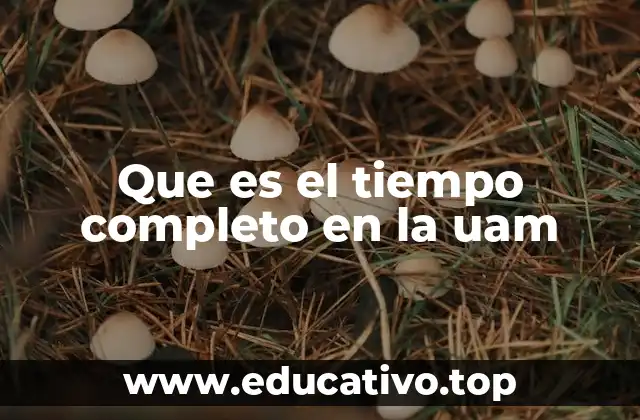 Que es el tiempo completo en la uam
