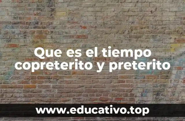 Que es el tiempo copreterito y preterito