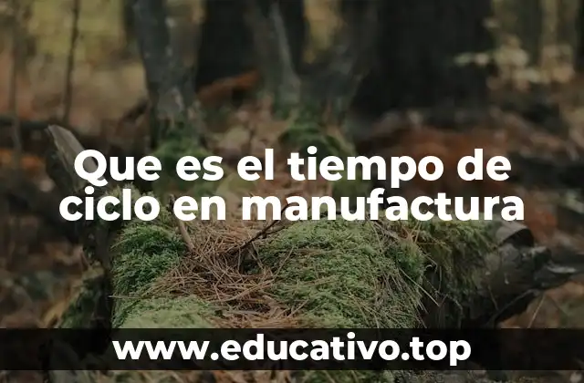 Que es el tiempo de ciclo en manufactura
