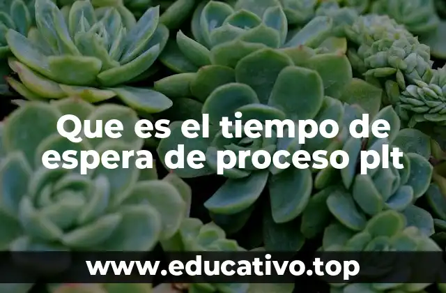 Factores que influyen en el PLT sin mencionar directamente la palabra clave