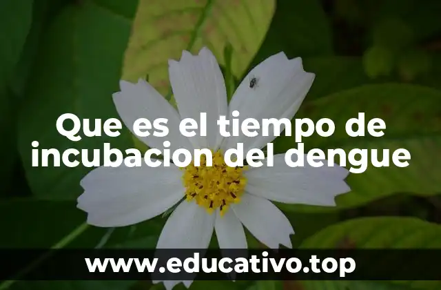 Que es el tiempo de incubacion del dengue
