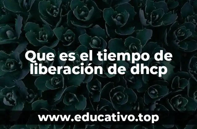 Que es el tiempo de liberación de dhcp