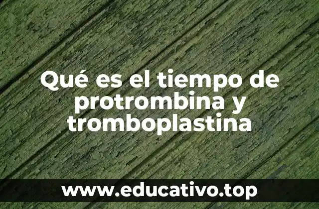 Qué es el tiempo de protrombina y tromboplastina