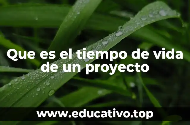 Que es el tiempo de vida de un proyecto