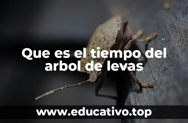 Que es el tiempo del arbol de levas