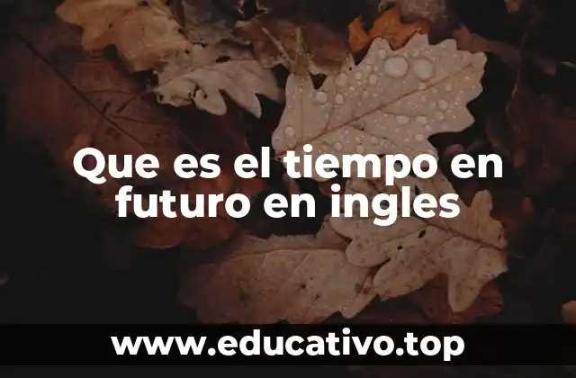 Que es el tiempo en futuro en ingles