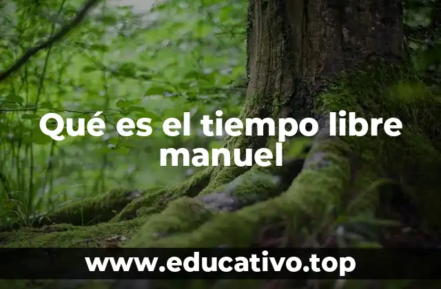 Qué es el tiempo libre manuel
