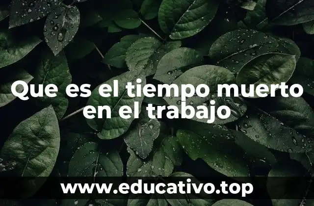 Que es el tiempo muerto en el trabajo