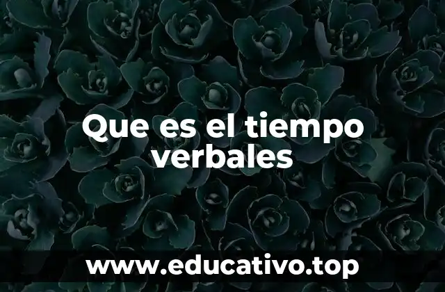Que es el tiempo verbales