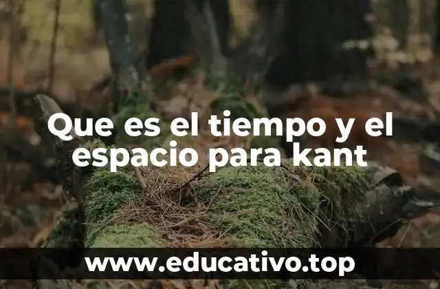 Que es el tiempo y el espacio para kant
