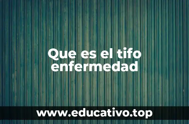 Que es el tifo enfermedad