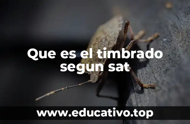 Que es el timbrado segun sat