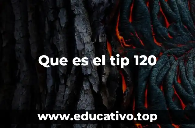 Que es el tip 120