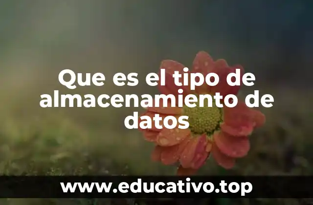 Que es el tipo de almacenamiento de datos