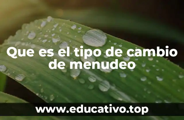 Que es el tipo de cambio de menudeo