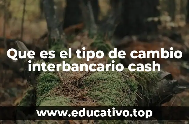 Que es el tipo de cambio interbancario cash