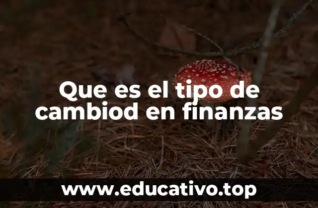 Que es el tipo de cambiod en finanzas