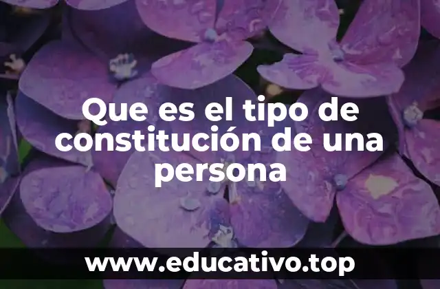Que es el tipo de constitución de una persona